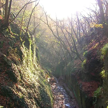 Friedland Apartamento