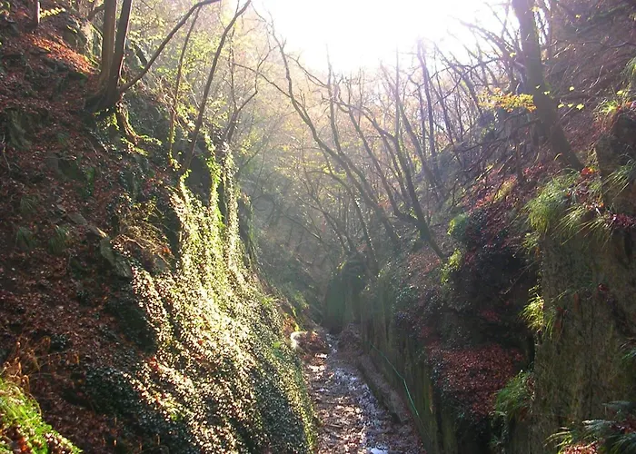 Friedland Apartamento